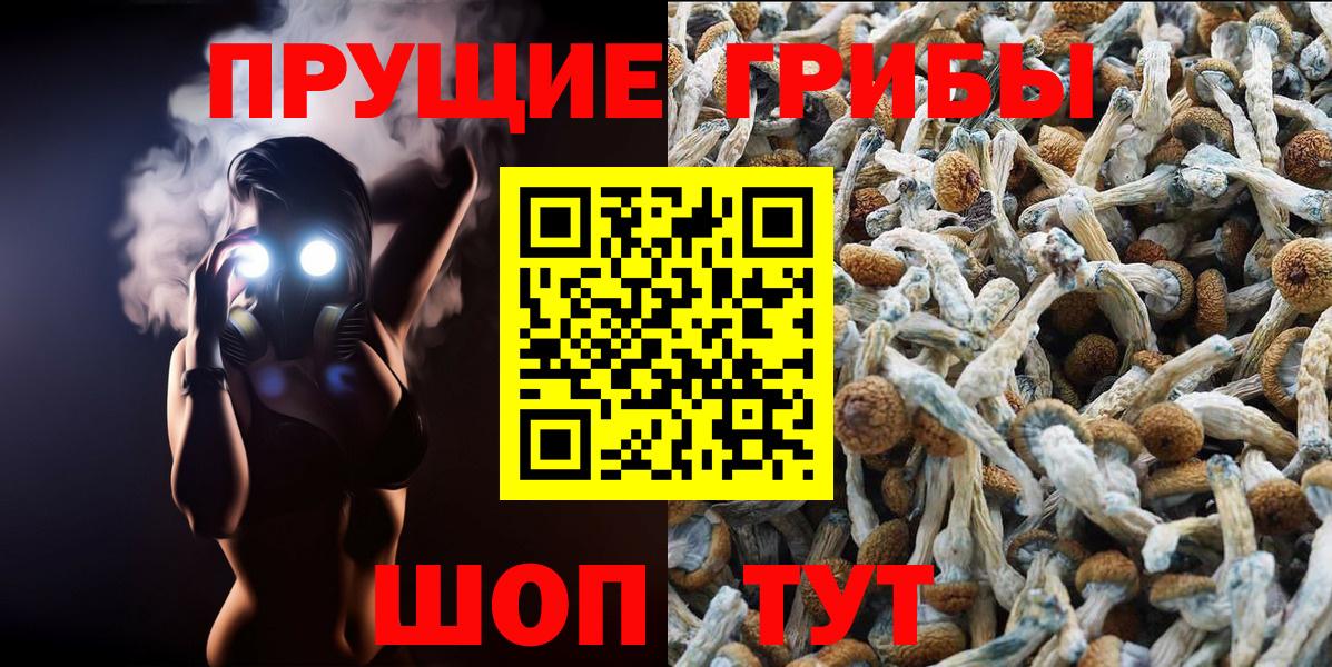 Галлюциногенные грибы Magic Shrooms  Псилоцибиновые грибы мухоморы  Воркута  Вход с VPN 